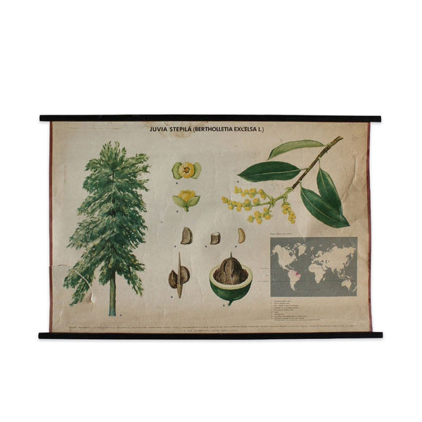 wa-265_grande.jpg?v=1619365288