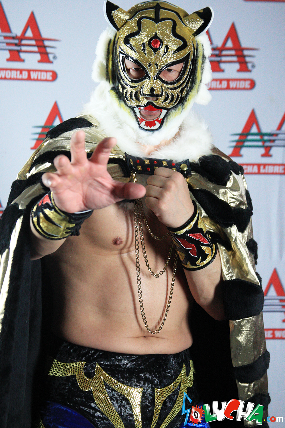 SOLUCHA.com / 【AAA】3代目タイガーマスク 実使用済マスク