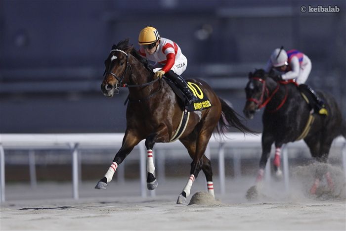 天皇賞(秋)】ブエナビスタが堂々の勝利！2着はペルーサ | 競馬ニュース