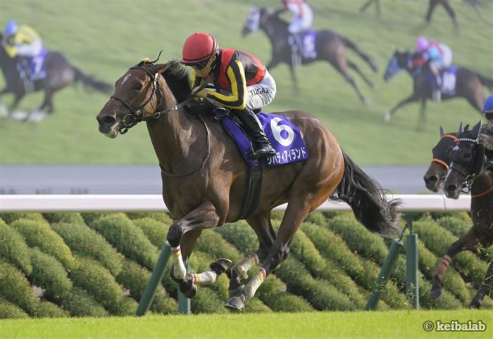 秋華賞】自由の女王に阻む者なし！リバティアイランドが史上7頭目の