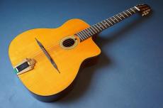 ストリングフォニック ギターカンパニーの検索結果1～38件【楽器検索