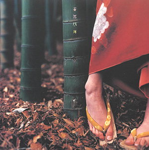 花鳥風月＋』CDリリース決定！『色色衣』『おるたな』と共にアナログ盤