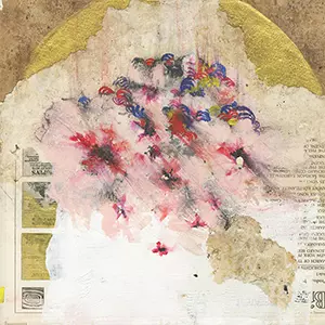 TEEBS / ティーブス商品一覧｜LATIN/BRAZIL/WORLD MUSIC｜ディスク