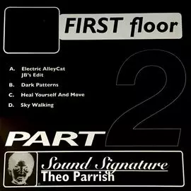 FIRST FLOOR PART 2 (REISSUE)/THEO PARRISH/セオ・パリッシュ/98年
