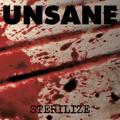 UNSANE / アンセイン商品一覧｜PUNK｜ディスクユニオン・オンライン