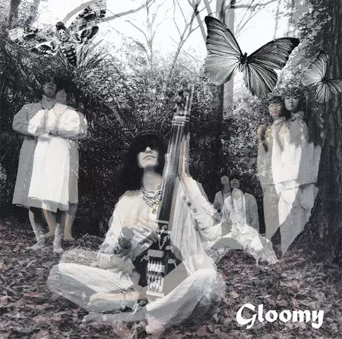 Gloomy (LP)/毛皮のマリーズ/【1000枚限定】｜PUNK｜ディスクユニオン
