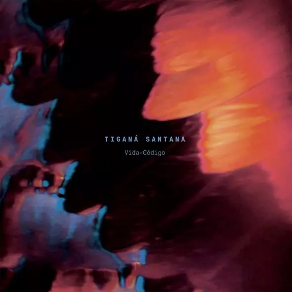 TIGANA SANTANA / チガナ・サンタナ商品一覧｜ディスクユニオン