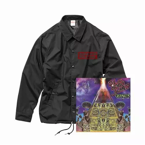 OOPARTS(LOST 10 YEARS ブッダの遺産) -再発-/D.L a.k.a. BOBO JAMES