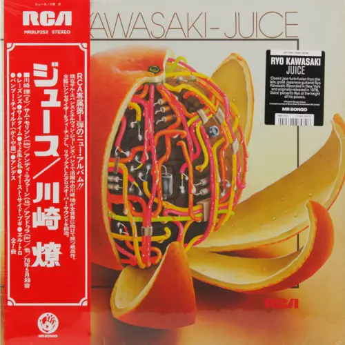 Juice/RYO KAWASAKI/川崎燎/極太のグルーヴが渦巻く1976年発表の名作が