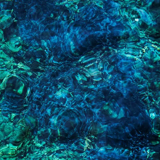 Luminescent Creatures (CD)/ICHIKO AOBA/青葉市子/前作『アダンの風