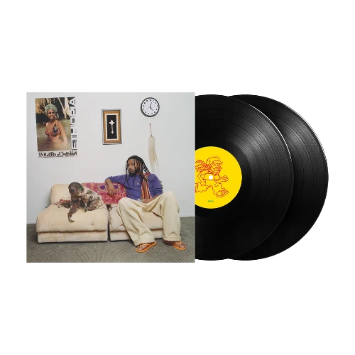 13 MONTHS OF SUNSHINE (2LP) (BLACK VINYL)/Amine/Amineの最新作『13