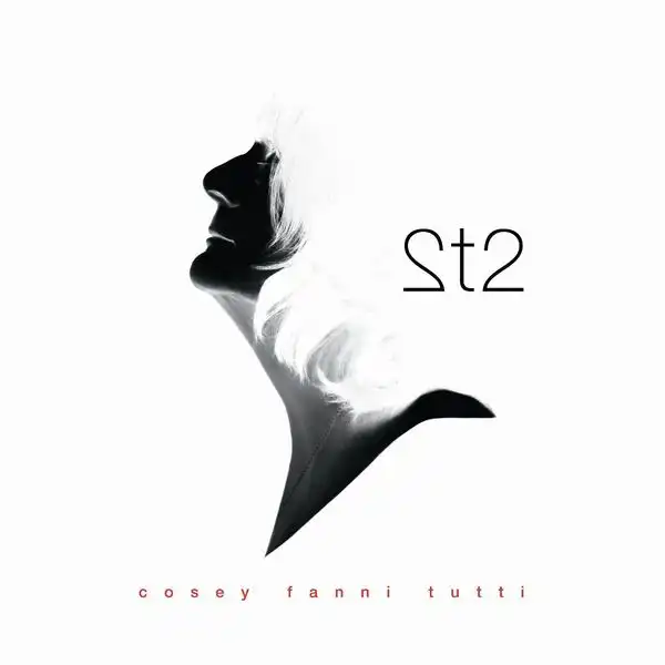 2t2 [LP]/COSEY FANNI TUTTI/コージー・ファニ・トゥッティ/[輸入LP