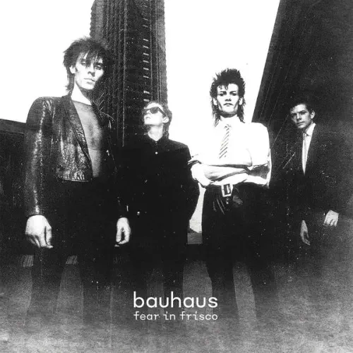 BAUHAUS / バウハウス商品一覧｜ディスクユニオン・オンラインショップ