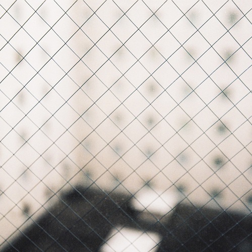 In Your Languages(2LP)/YURAGI/揺らぎ/ロックバンド揺らぎが約1年半