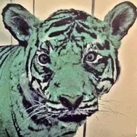 GGG/jjj (FLA$HBACKS)｜HIPHOP/R&B｜ディスクユニオン・オンライン