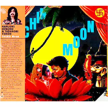 SEX ENERGY AND STAR/F.O.E.(HARUOMI HOSONO)/F.O.E.(細野晴臣)｜日本