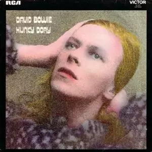 HUNKY DORY/DAVID BOWIE/デヴィッド・ボウイ｜OLD ROCK｜ディスク