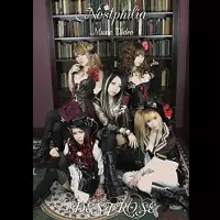 DESTROSE / デストローズ商品一覧｜ディスクユニオン・オンライン