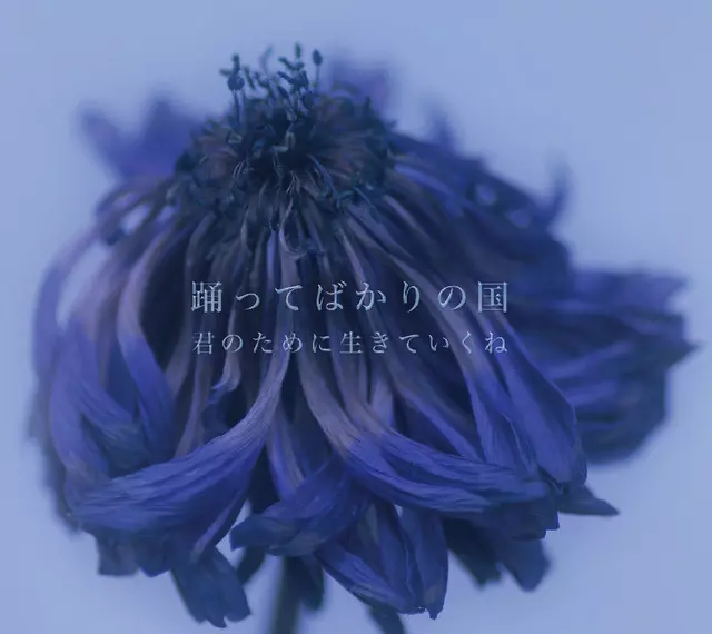 君のために生きていくね/踊ってばかりの国｜日本のロック｜ディスク