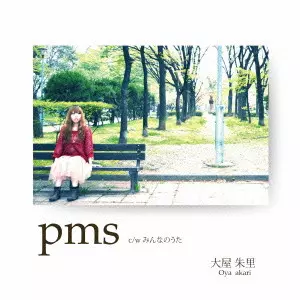 SILENTINTRODUCTION/MOODYMANN/ムーディーマン｜CLUB/DANCE｜ディスク