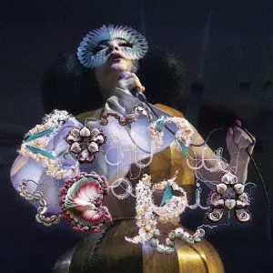 BJORK / ビョーク商品一覧｜ディスクユニオン・オンラインショップ