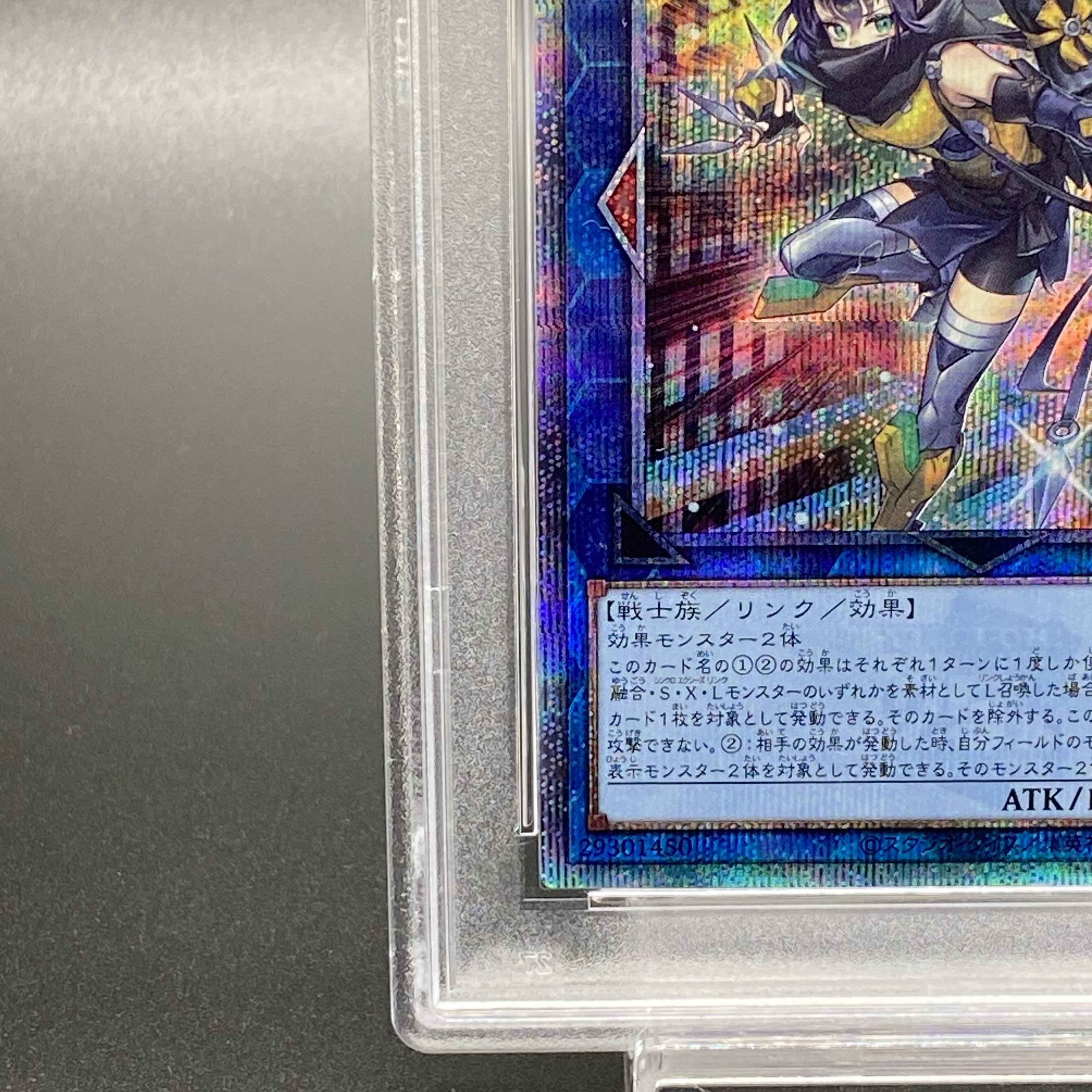 瀬*那様 遊戯王 S.P.リトルナイト 2枚セット 瀬*那様 遊戯王 S.P.