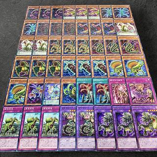 捕食植物 デッキ」の激安通販 | magi