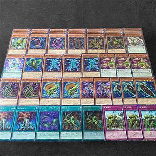 捕食植物 デッキ」の激安通販 | magi