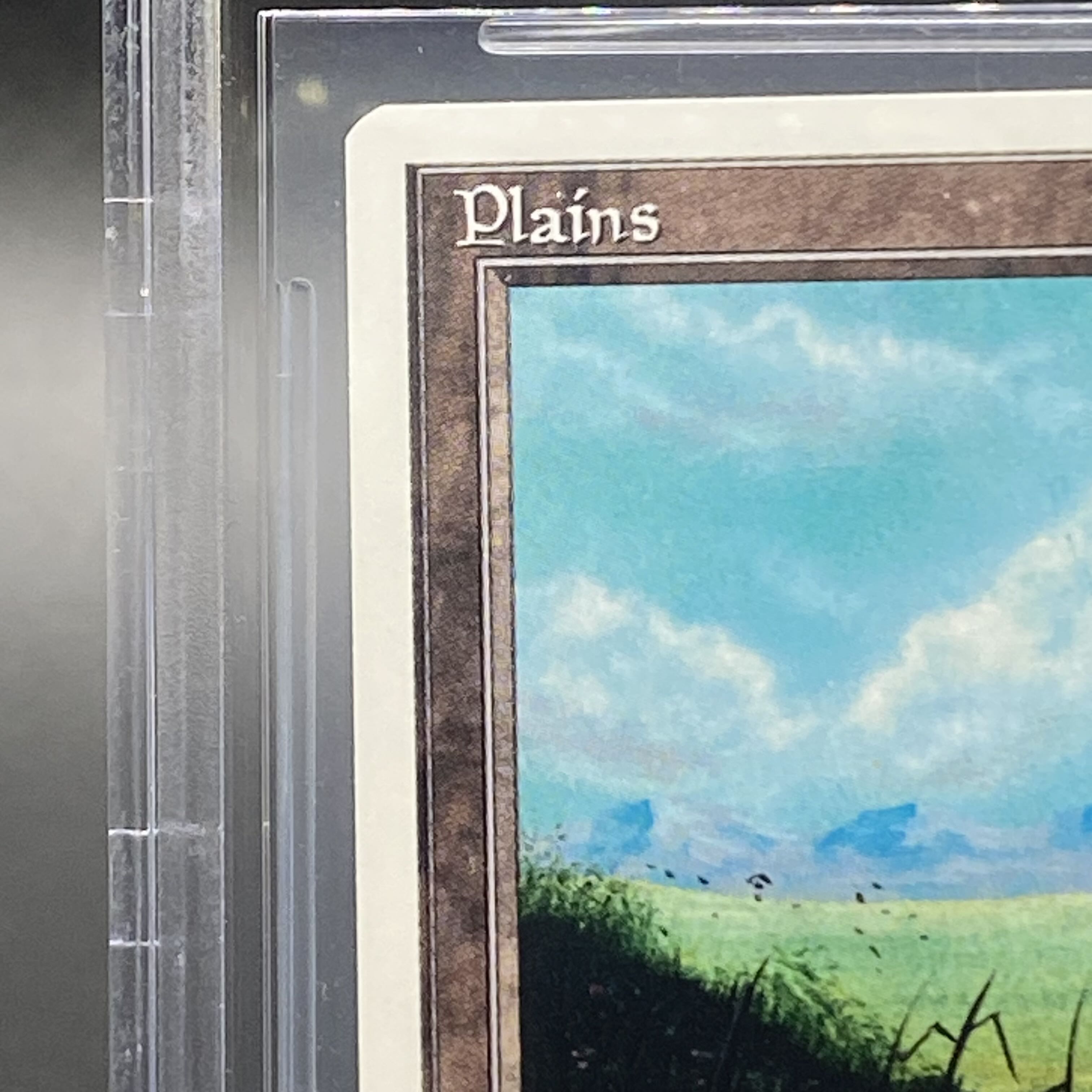 BGS9】平地 / Plains 基本土地 サマーマジック 1枚の通販 土日祝休