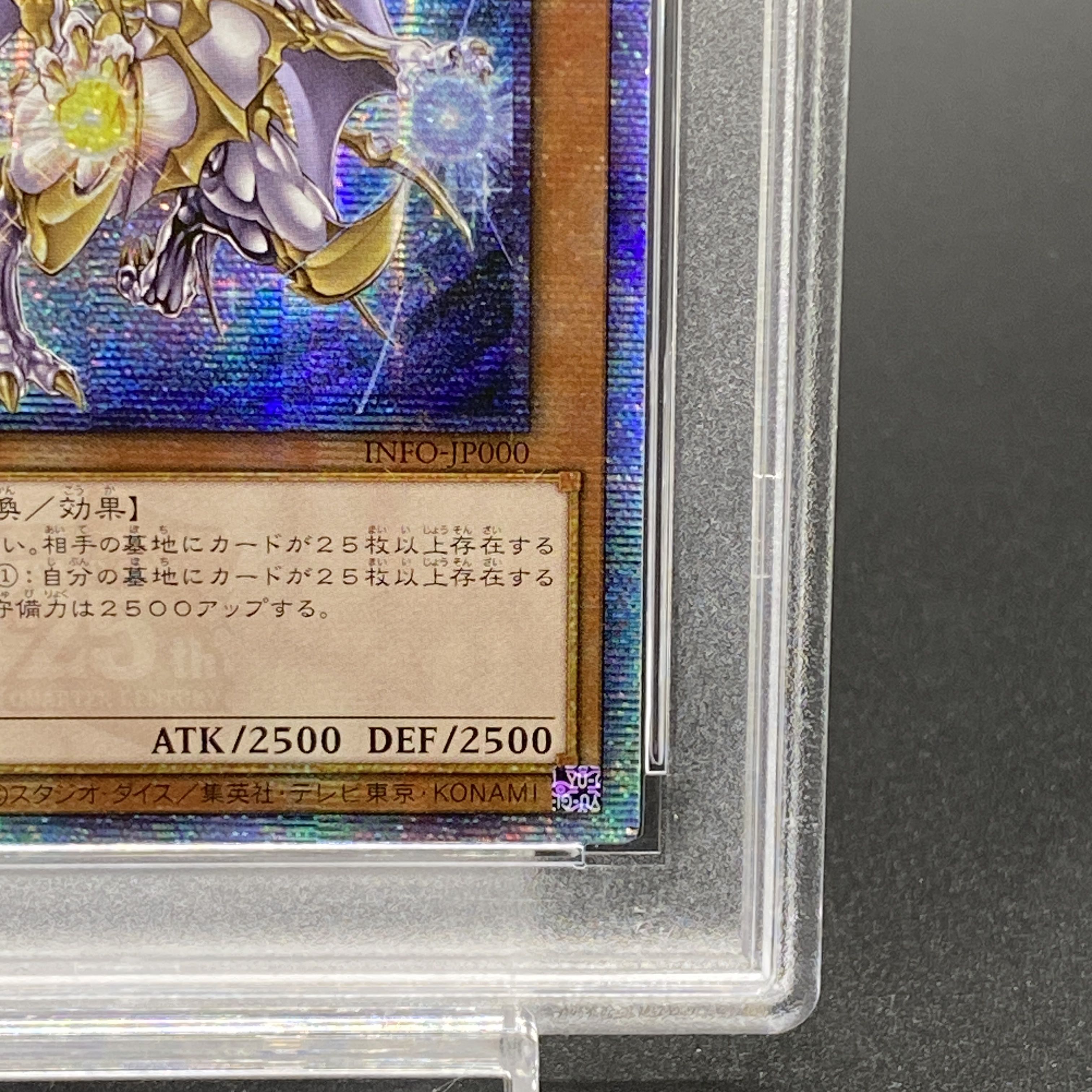 PSA10】誇りと魂の龍 QCSE・25thシク INFO-JP000 1枚の通販 土日祝休