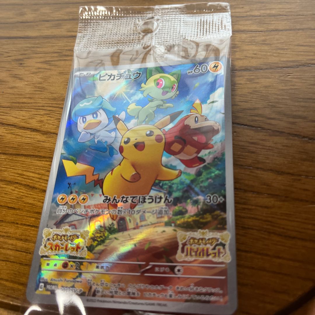 ピカピカ プロフ見てもらったら嬉し^ ^ ポケモン V 初回購入特典付