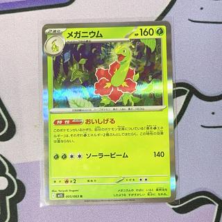 メガニウム」の激安通販 | magi