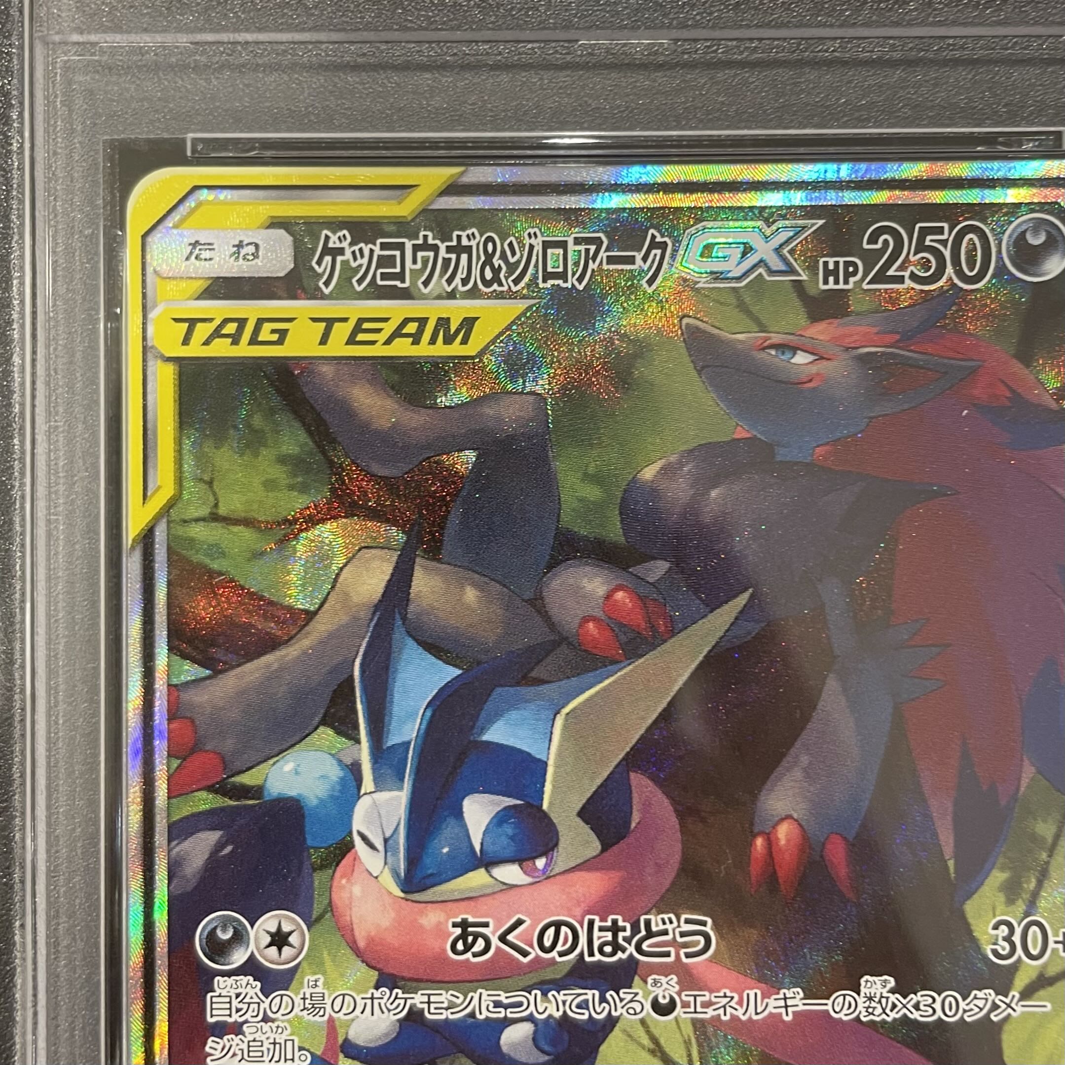PSA10】ゲッコウガ＆ゾロアークGX SR 059/055 1枚の通販 土日祝休@magi