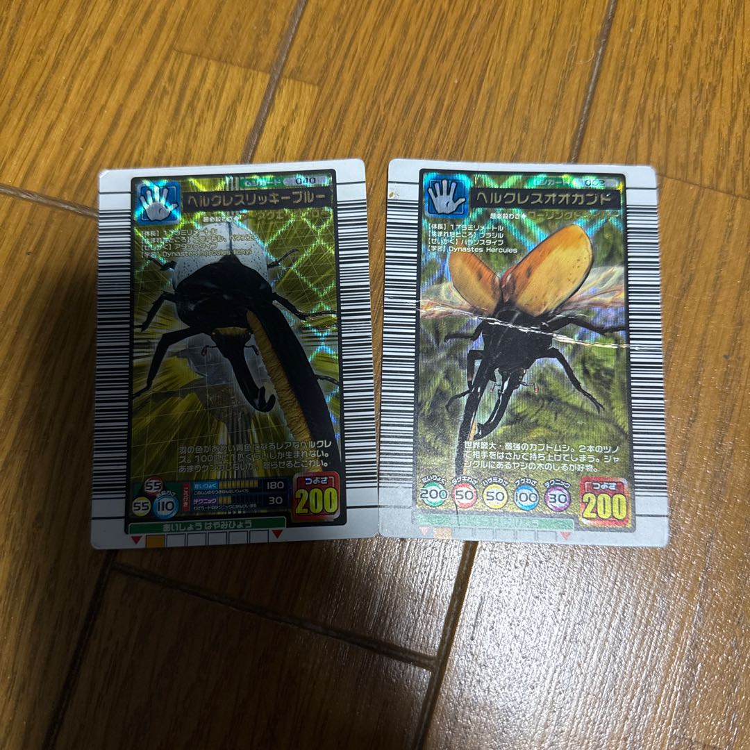 ヘラクレスオオカブト・ヘラクレスリッキーブルー 1枚の通販 Leonheart