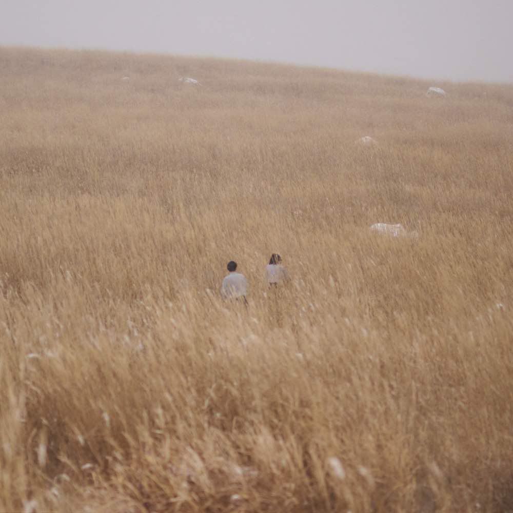 iri、1st〜4thアルバムのアナログ再発へ向け特典など全貌公開