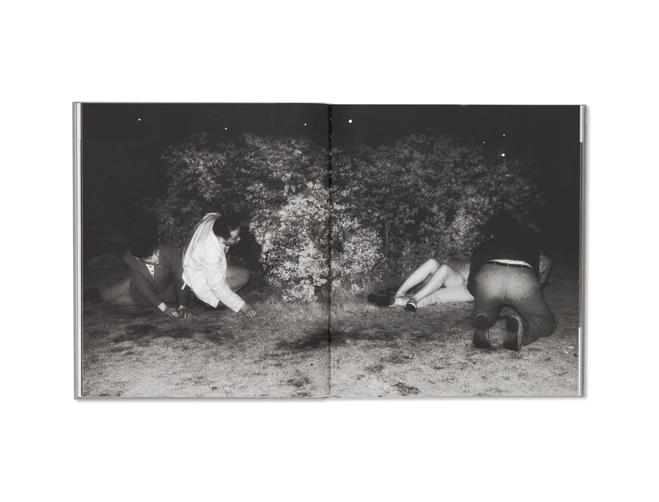 吉行耕平:THE PARK [SPECIAL EDITION] 吉行耕平 -の商品詳細 | 蔦屋