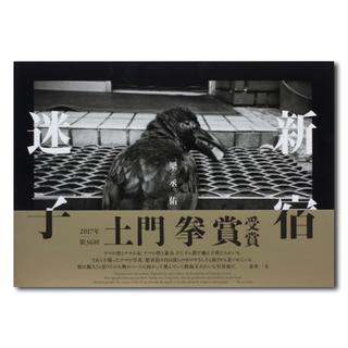 ヘイデン・ヘレーラ『石を聴く イサム・ノグチの芸術と生涯』みすず