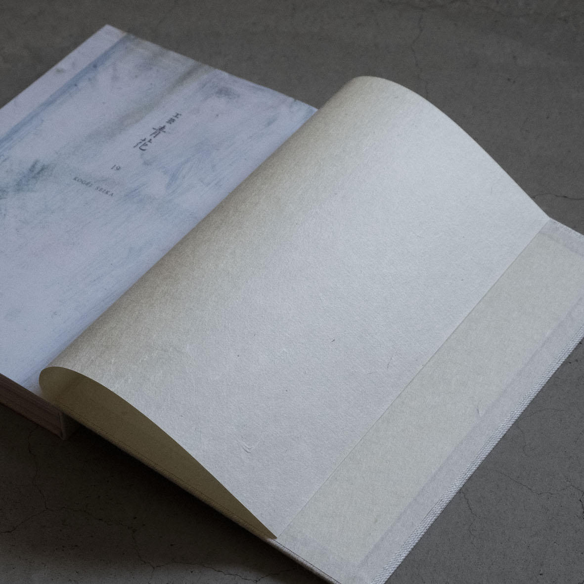 工芸青花 19号 工芸青花 -の商品詳細 | 蔦屋書店オンラインストア