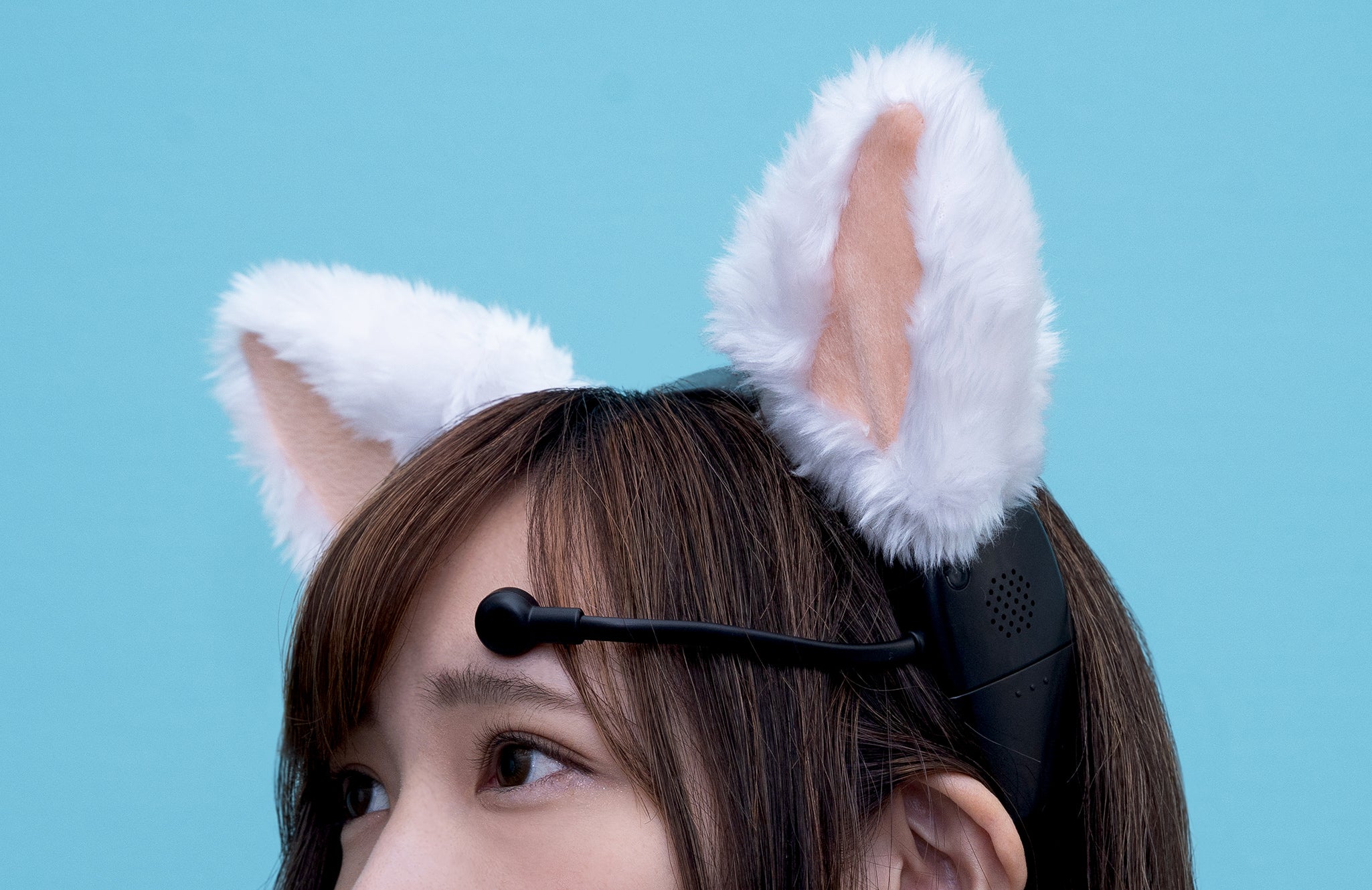 necomimi｜脳波でうごく、ネコのミミ（Bio Search） – ユカイ工学