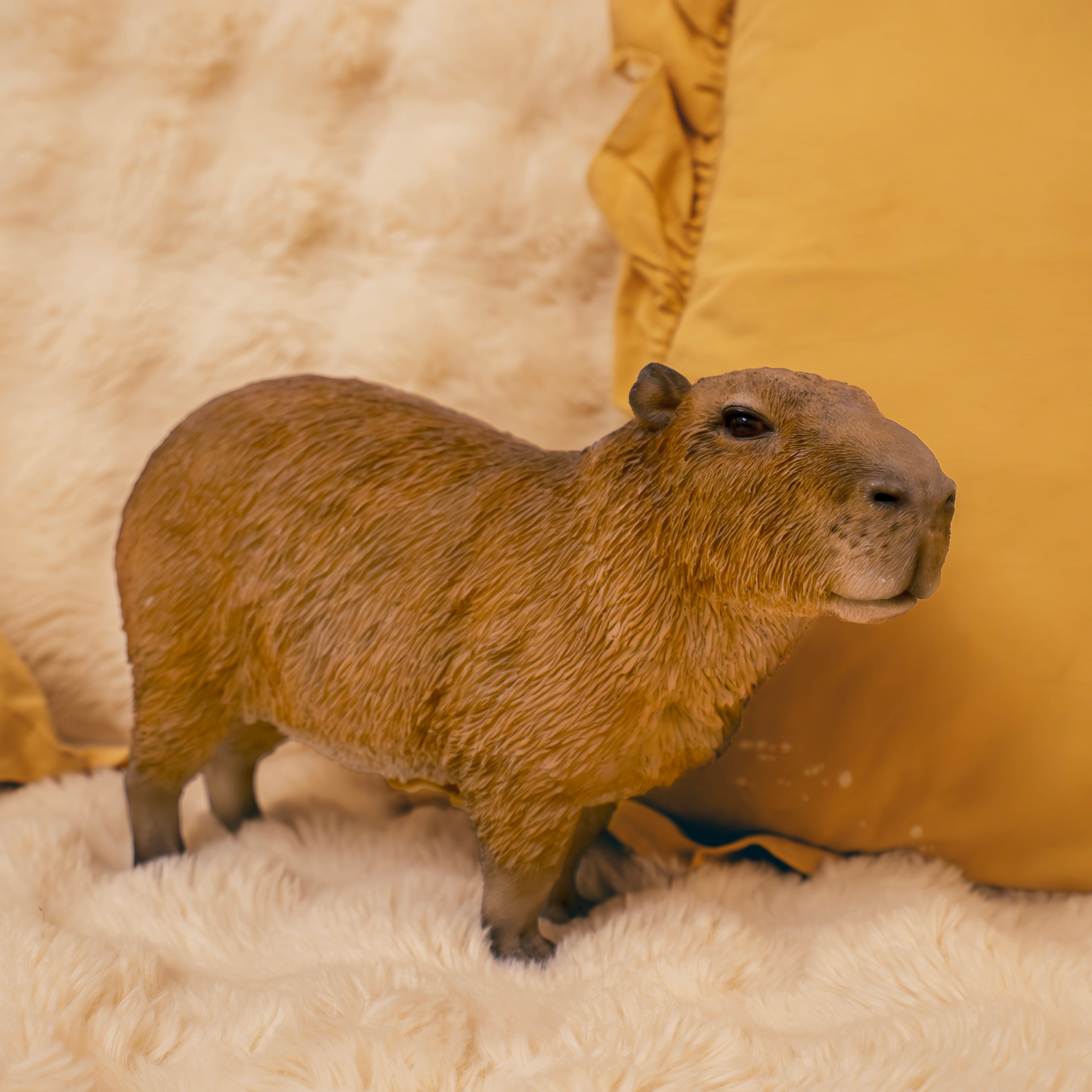 カピバラ（大）｜WooBia公式オンラインショップ – WooBia（ウービア