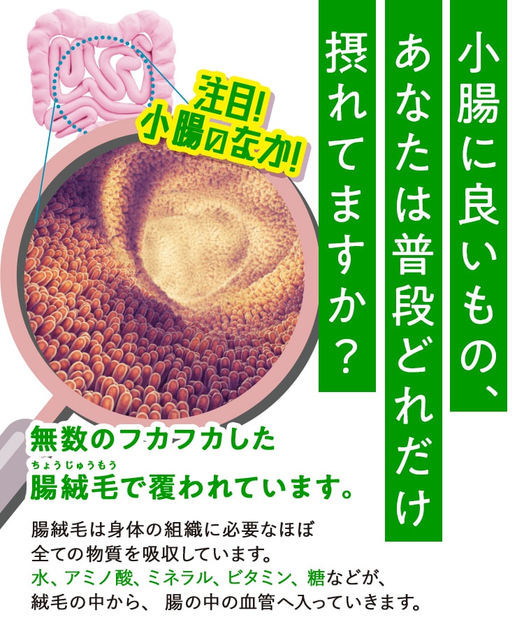 定期購入キャンペーン】LAVA BRM1.3［3箱コース：40％OFF］(50包／箱