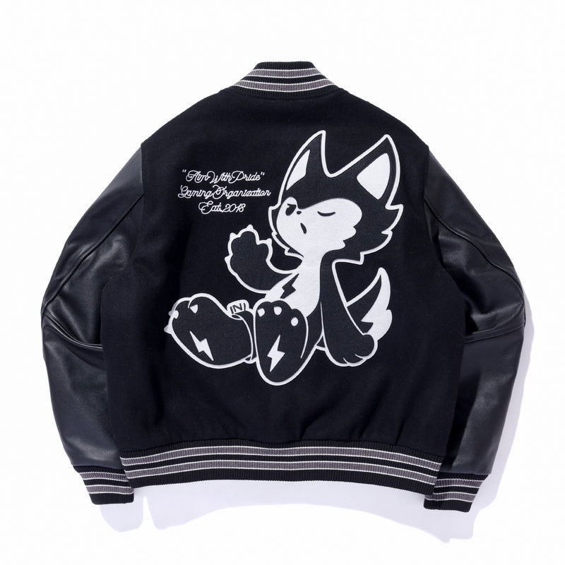2024 ZETA MASCOT VARSITY JACKET – ZETA DIVISION STORE