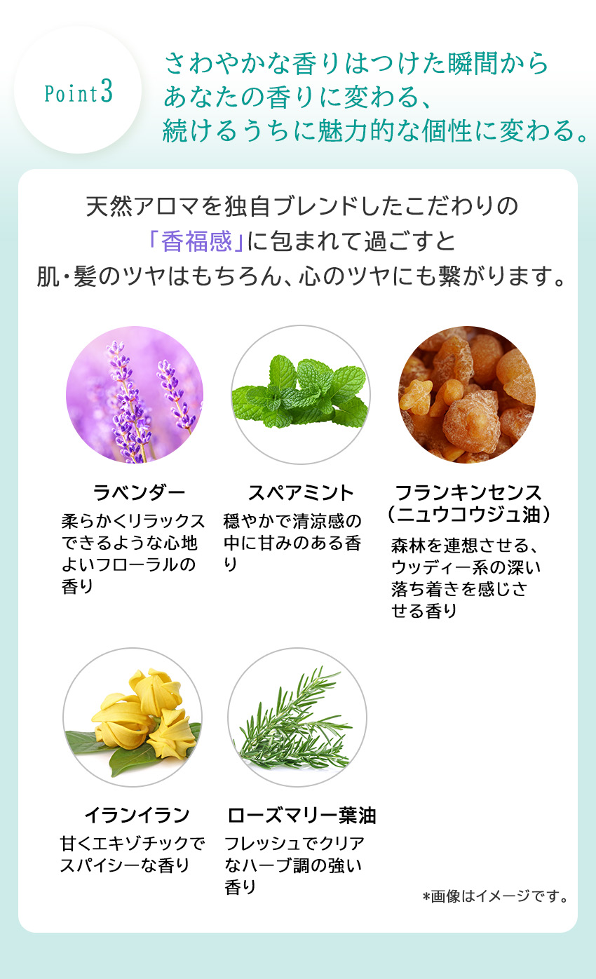 マルチルミナスオイル 100mL | MULTI LUMINOUS OIL