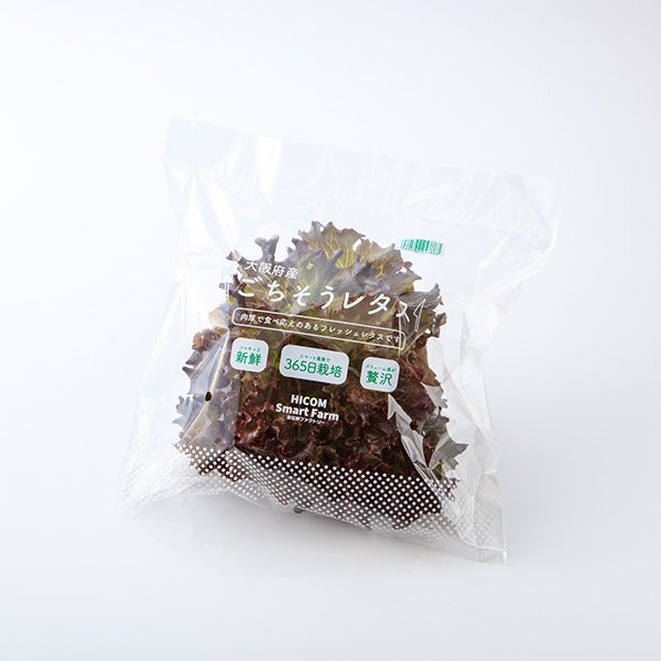 サラダが華やぐ ごちそうレタス 8袋【大阪府泉佐野産】農産物直売所