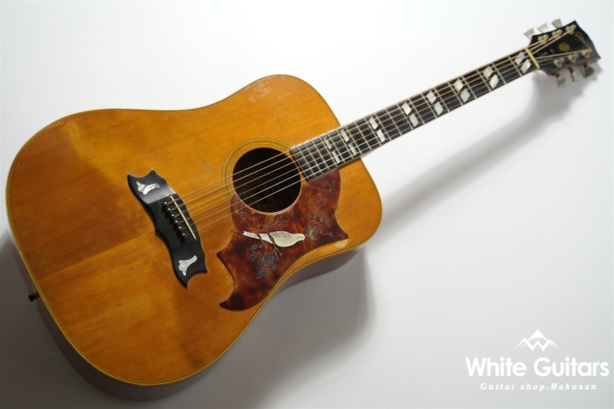 Gibson 1973-1975 Dove | White Guitars Online Store