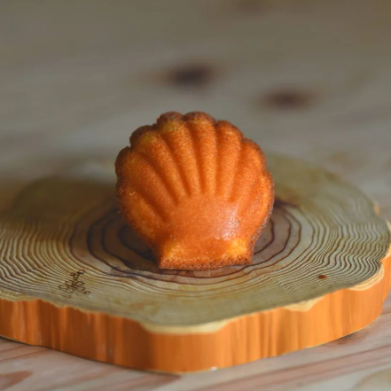 Kazuma Kaneishi】 マドレーヌ5個 | HESTA LIFE store（ヘスタライフ