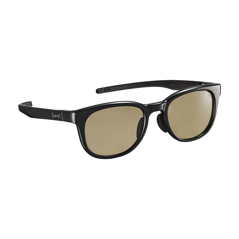 Eyevol サングラス コラボレーション | 【BRIEFING GOLF×Eyevol