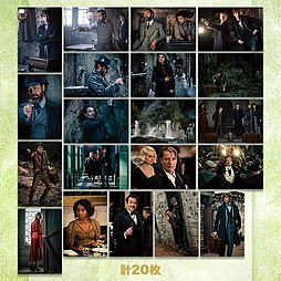 SHOCHIKU STORE | 松竹ストアファンタスティック・ビーストと