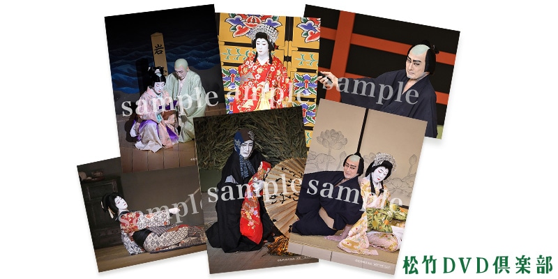 SHOCHIKU STORE | 松竹ストアシネマ歌舞伎 桜姫東文章 [DVD]: 松竹DVD