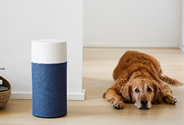 Blue 3210/Blue Pure 411 プレフィルター（ウインターリード